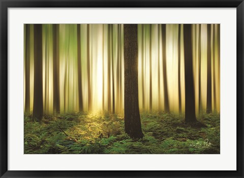 Framed Forest in Motion Print