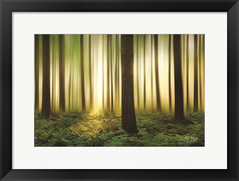 Framed Forest in Motion Print