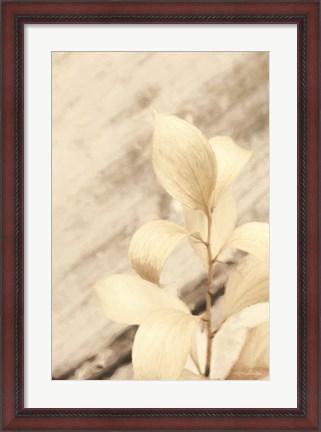 Framed Golden Leaves Print