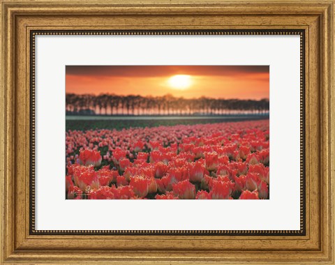 Framed It&#39;s That Time of Year Print