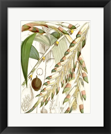 Framed Tropical Variety I Print