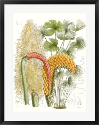 Framed Palm Melange IV Print
