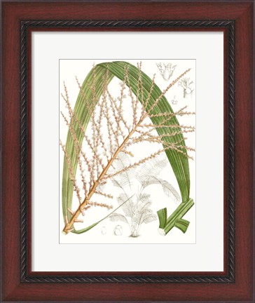 Framed Palm Melange VII Print