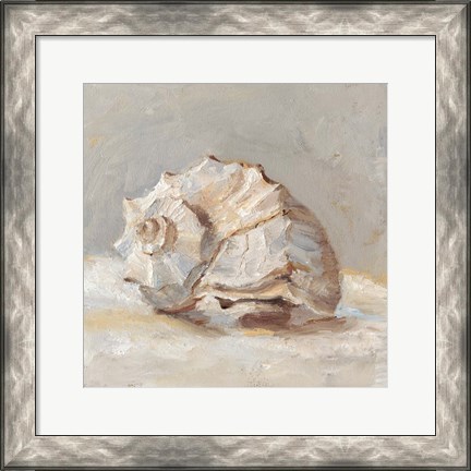 Framed Impressionist Shell Study II Print