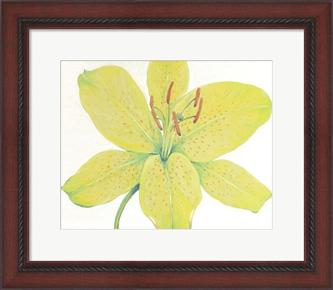 Framed Citron Tiger Lily I Print