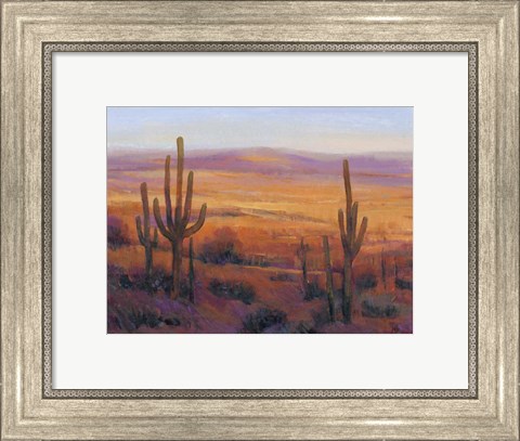 Framed Desert Light II Print