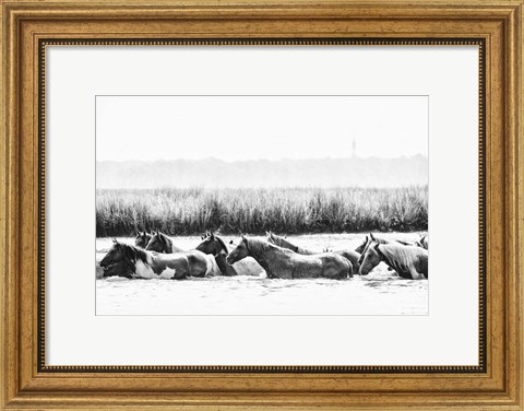 Framed Water Horses III Print