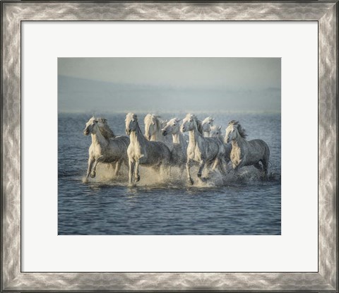 Framed Water Horses VI Print