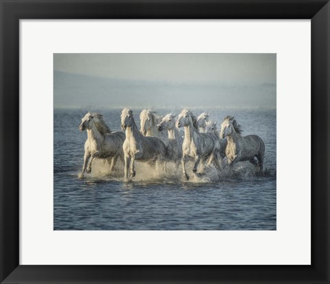 Framed Water Horses VI Print