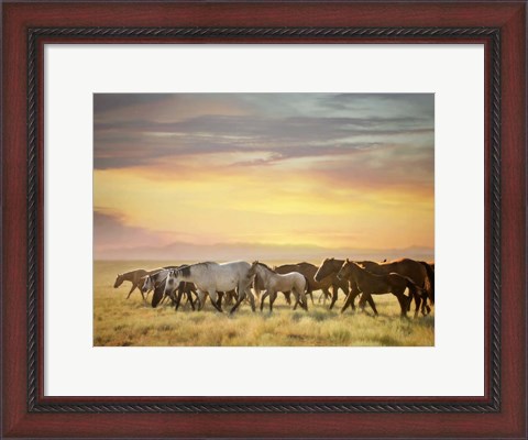 Framed Sunkissed Horses I Print