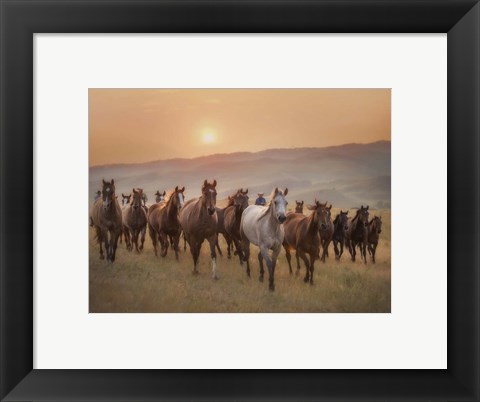 Framed Sunkissed Horses II Print