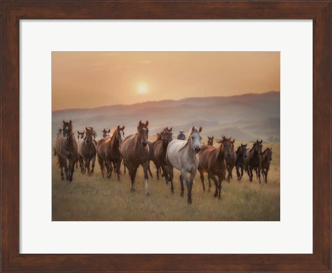 Framed Sunkissed Horses II Print
