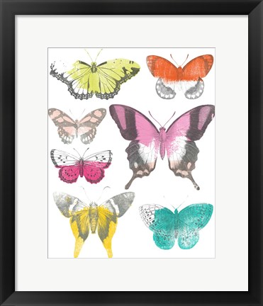 Framed Chromatic Butterflies II Print