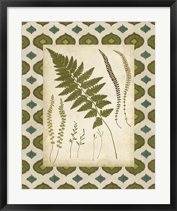 Framed Moroccan Ferns II Print