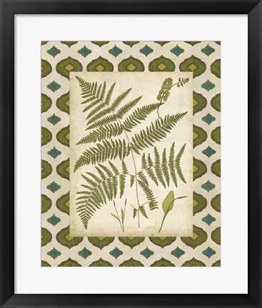 Framed Moroccan Ferns IV Print