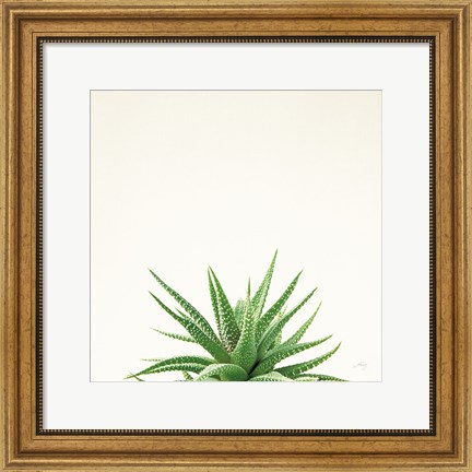 Framed Succulent Simplicity I Neutral Print