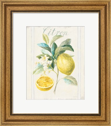 Framed Floursack Lemon IV v2 Print