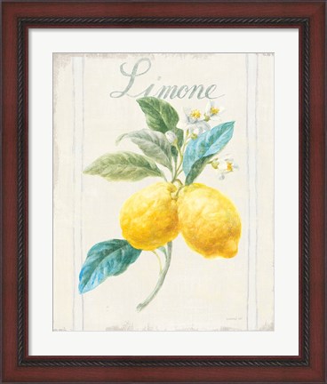 Framed Floursack Lemon III v2 Print