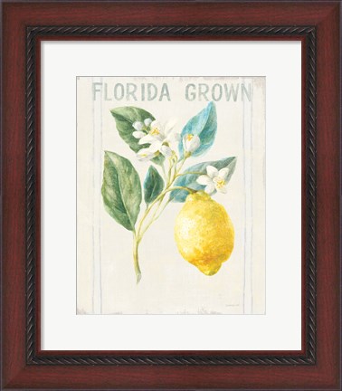 Framed Floursack Lemon I v2 Print