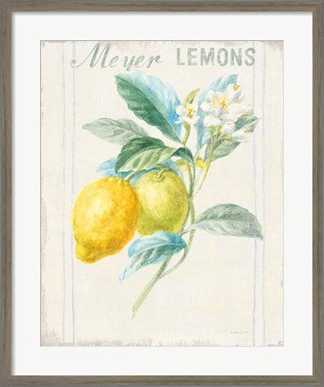 Framed Floursack Lemon II v2 Print