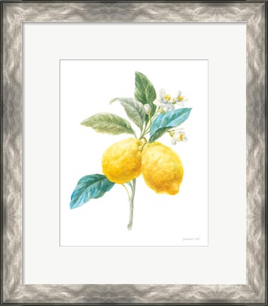Framed Floursack Lemon IV on White Print