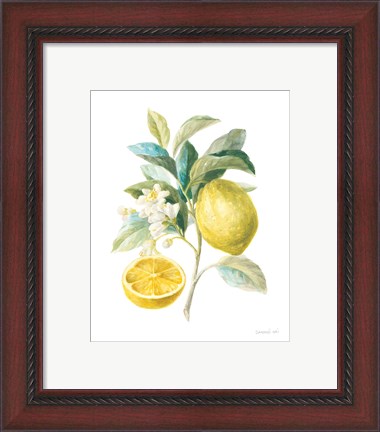 Framed Floursack Lemon III on White Print