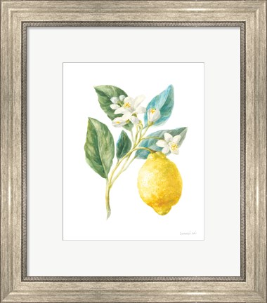 Framed Floursack Lemon I on White Print