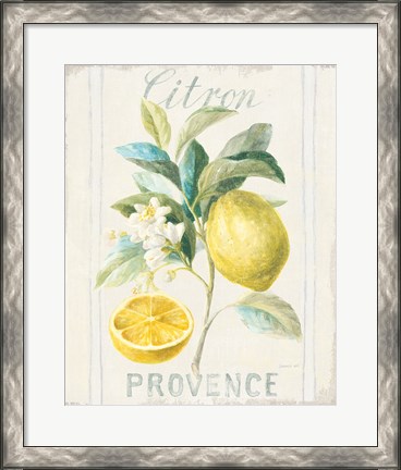 Framed Floursack Lemon IV Print