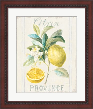 Framed Floursack Lemon IV Print