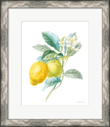 Framed Floursack Lemon II on White Print