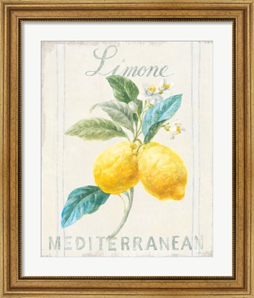 Framed Floursack Lemon III Print