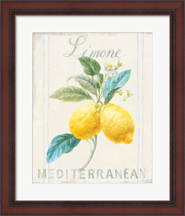 Framed Floursack Lemon III Print