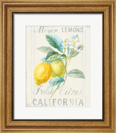 Framed Floursack Lemon II Print