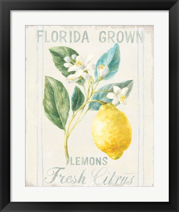 Framed Floursack Lemon I Print