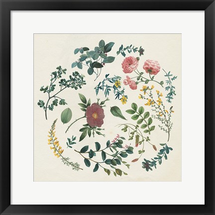Framed Victorian Garden II Print
