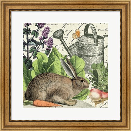 Framed Garden Rabbit I Print