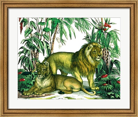 Framed Jungle Flair VI Print