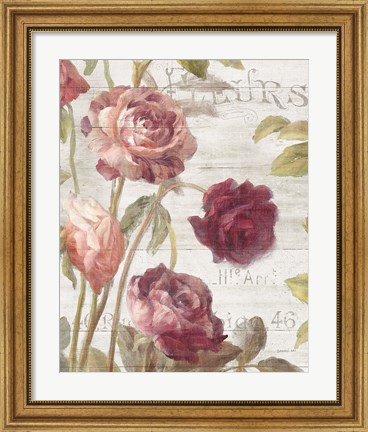 Framed French Roses II Print