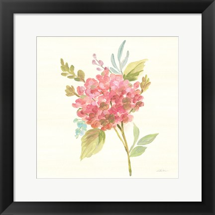 Framed Petals and Blossoms VII Print