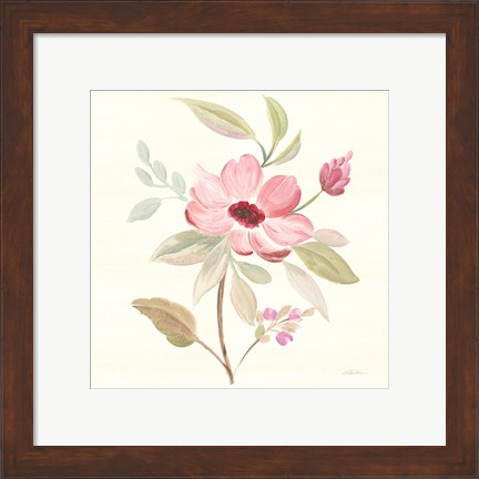 Framed Petals and Blossoms VI Print