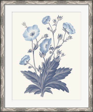 Framed Blue Botanical VI Print