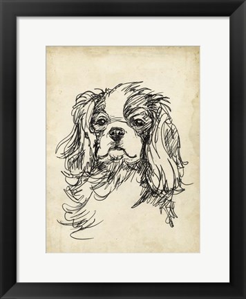 Framed Breed Studies II Print