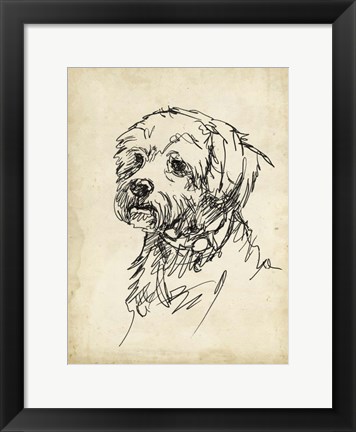 Framed Breed Studies III Print