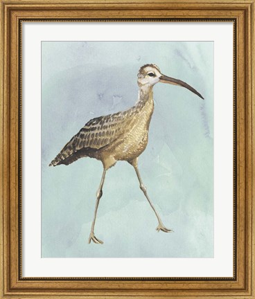 Framed Watercolor Beach Bird II Print