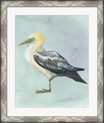 Framed Watercolor Beach Bird III Print
