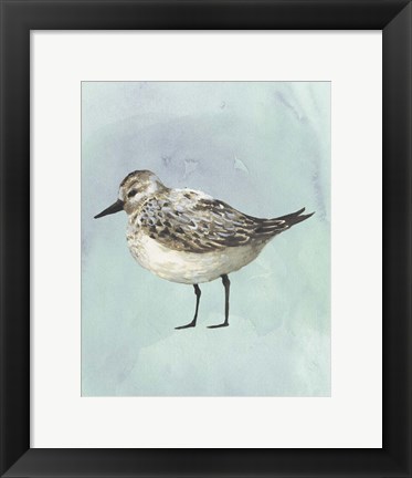 Framed Watercolor Beach Bird V Print