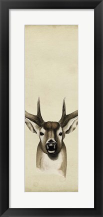 Framed Triptych Whitetail II Print