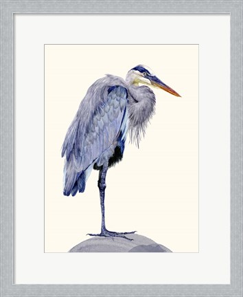 Framed Heron Study II Print