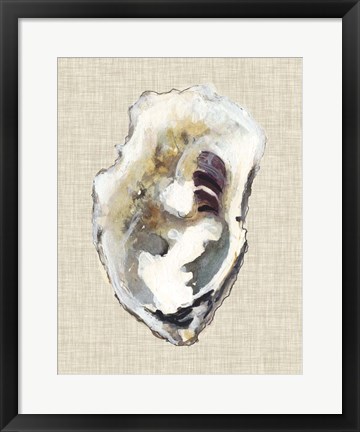 Framed Oyster Shell Study I Print