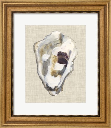 Framed Oyster Shell Study II Print